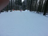 Det er hyggeligt at suse igennem skoven